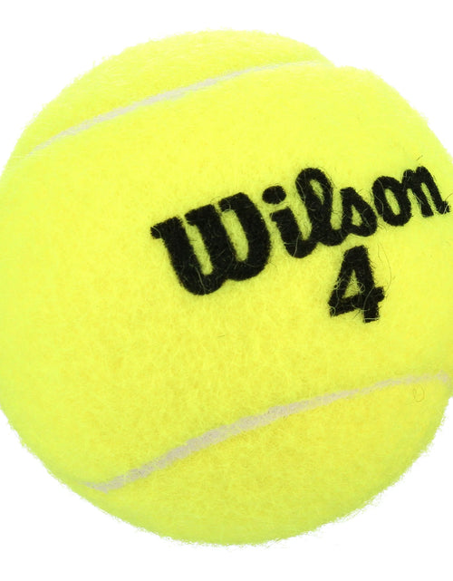 Load image into Gallery viewer, Championship Extra Duty Tennis Ball - 3 Ball Can
