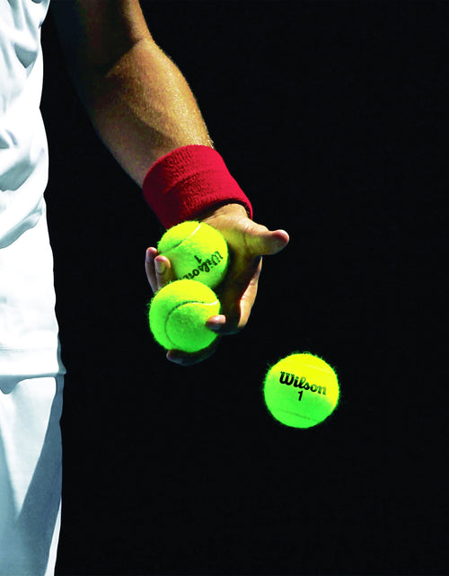 Load image into Gallery viewer, Championship Extra Duty Tennis Ball - 3 Ball Can
